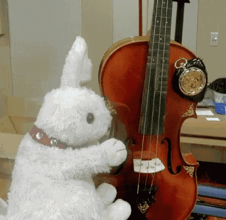 Bunny Violin GIF