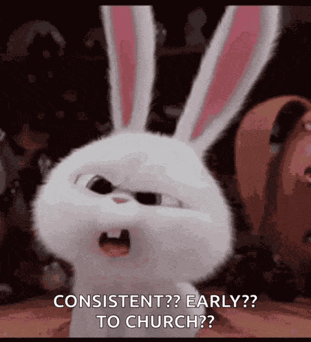 Bunny Wth GIF
