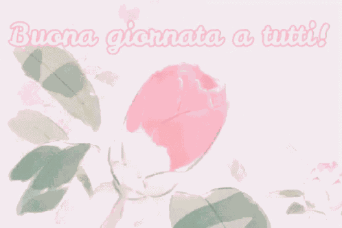 Buona Giornata A Tutti Buongiorno Buon Giorno Svegliarsi Buondì Passa Una Buona Giornata GIF