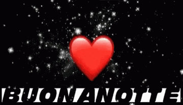 Buona Notte Good Night GIF