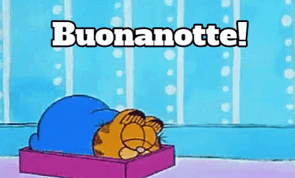 Buonanotte Buona Notte Sogni D’oro Dormi Bene A Domani Dormire Dormo Dormendo GIF