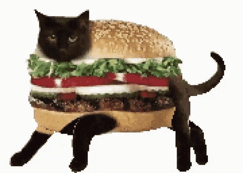 Burgercat Cat Burger GIF