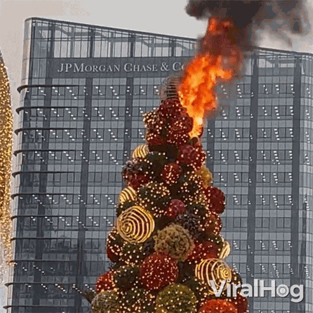 Burning Christmas Tree Viralhog GIF