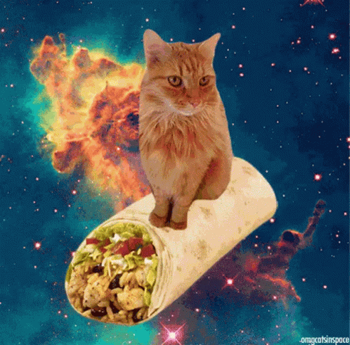 Burrito My GIF