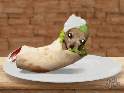 Burrito National Burri Today GIF