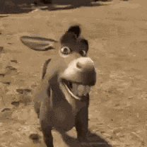 Burro Do Shrek GIF