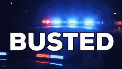 Busted Arrest GIF