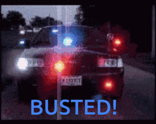 Busted Police GIF