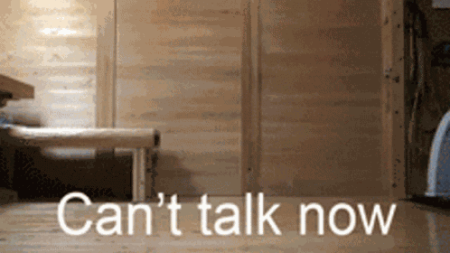 Busy Cat Cant Talk GIF