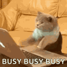 Busy GIF