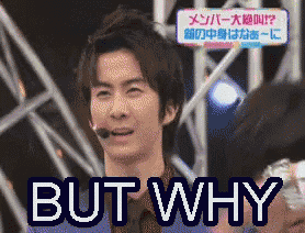 But Why GIF