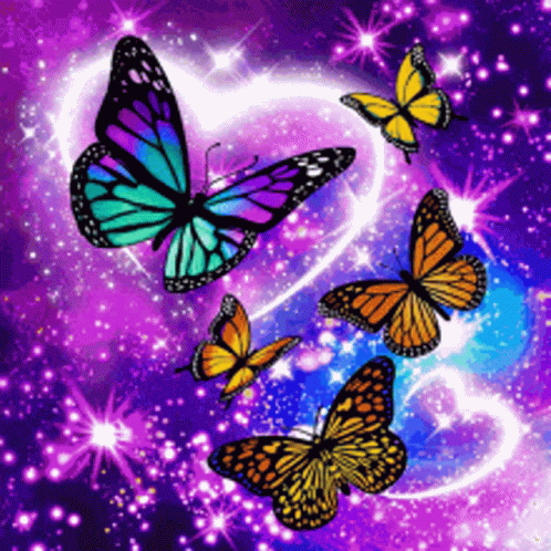 Buttefly Images GIF