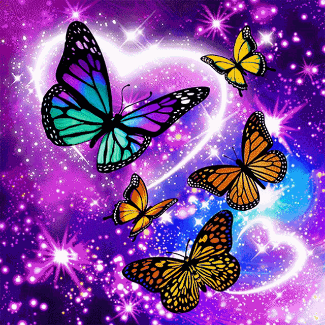 Butterflies Stars GIF