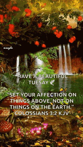 Butterflies Waterfall GIF