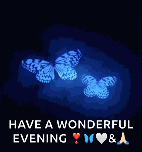 Butterfly Blue GIF