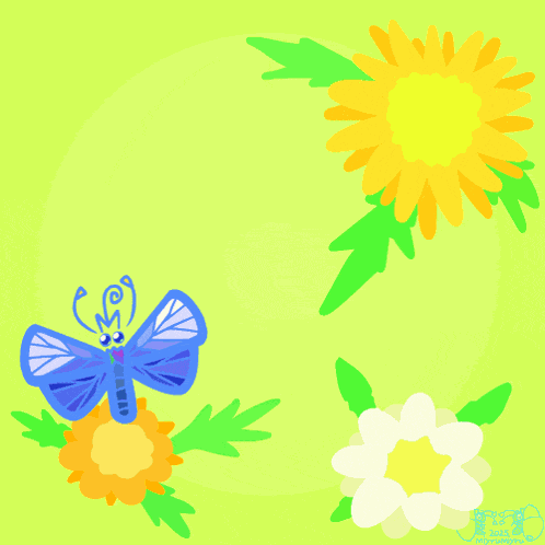 Butterfly Butterflies GIF