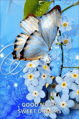 Butterfly Flower GIF