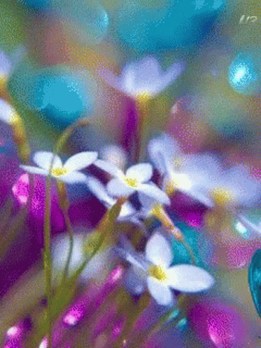 Butterfly Flower GIF
