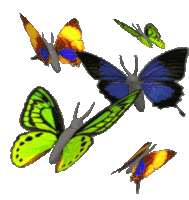 Butterfly Flying Sticker