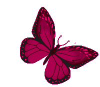 Butterfly Freedom Sticker