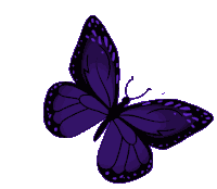 Butterfly Indigo Butterfly Sticker