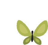 Butterfly Sticker