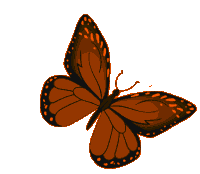 Butterfly Orange Sticker