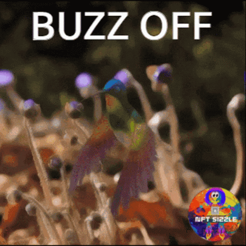 Buzz Off Go Away GIF