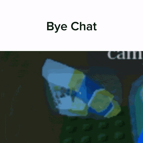 Bye Bye Chat GIF