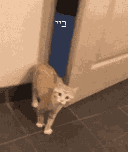 Bye Goodbye GIF