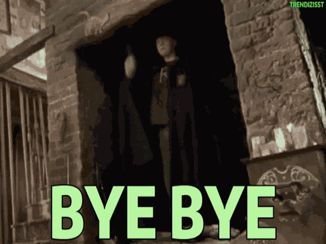 Bye Harry Potter GIF