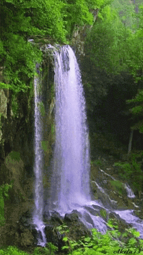 Cafejaze Waterfall GIF