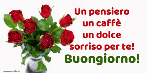 Caffe Dolce GIF