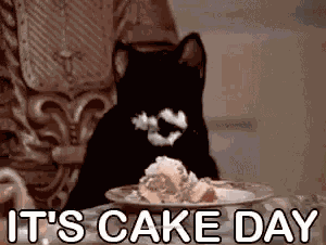 Cake Cat GIF