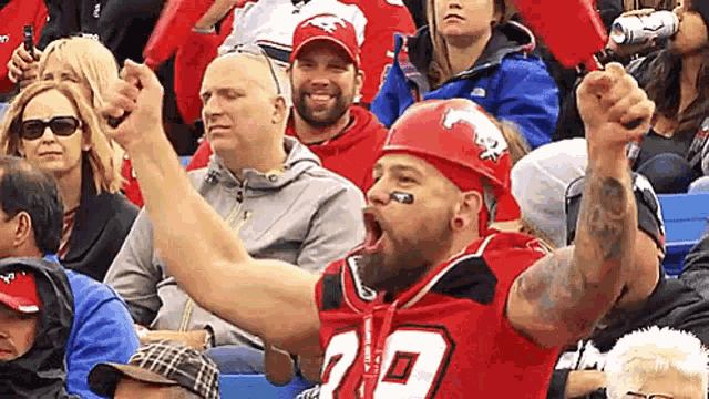 Calgary Stampeders Fan GIF