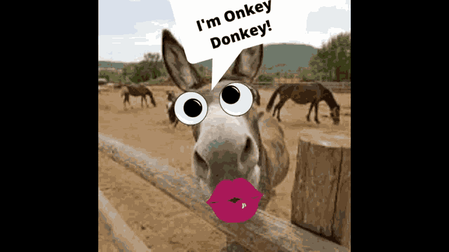 Call Me Donkey GIF