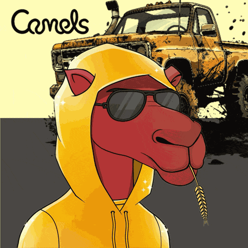 Camel Camels GIF