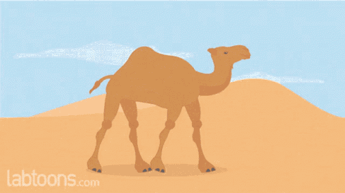 Camel Movement GIF