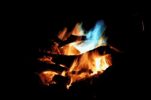 Campfire Flames GIF