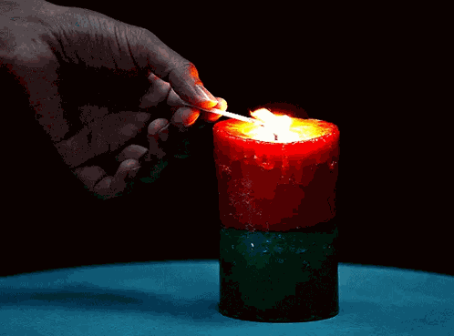Candle Severance Gemma Scout GIF