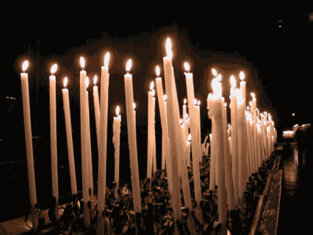 Candles Lights GIF