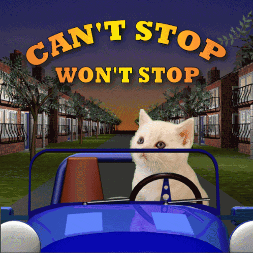 Can'T Stop Won'T Stop GIF
