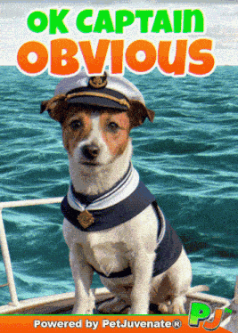 Captain Obvious Its Obvious GIF