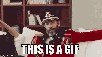 Captain Obvious This Is A Gif GIF