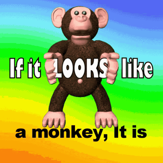 Caption Me Add Text GIF