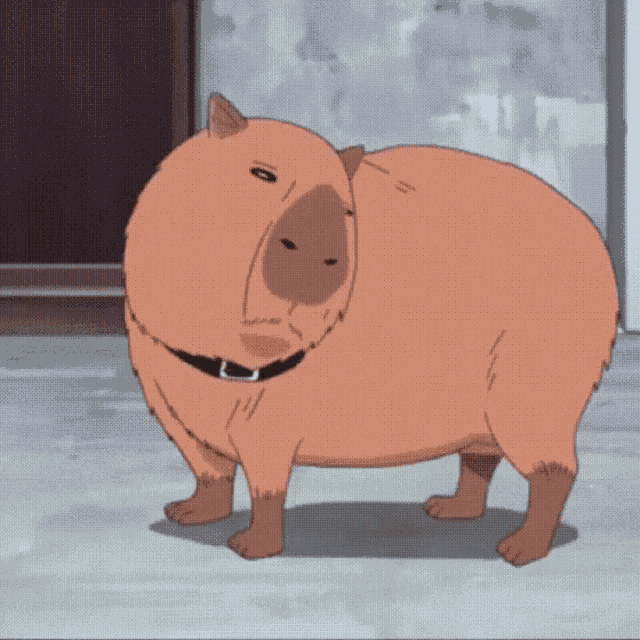 Capybara Anime GIF