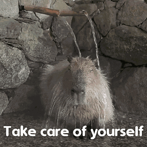Capybara Cute GIF