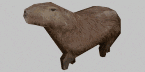 Capybara GIF