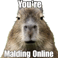 Capybara Mald Sticker