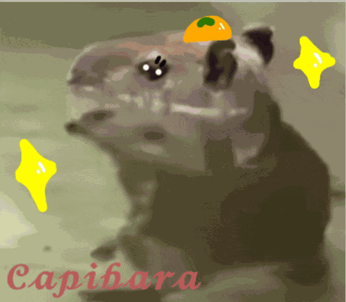 Capybara Meme